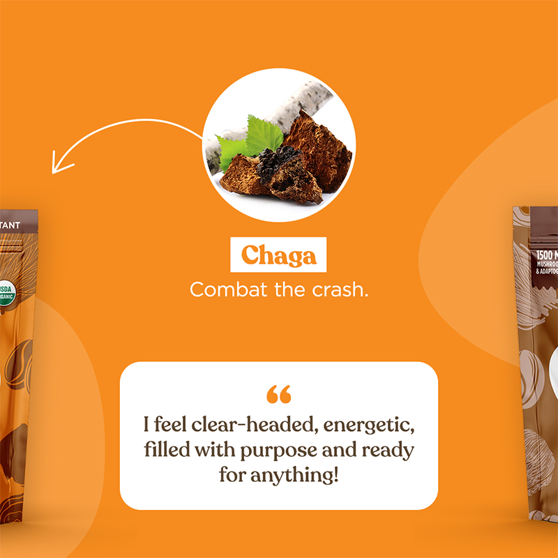 Four Sigmatic — SLIDE 2 · CHAGA