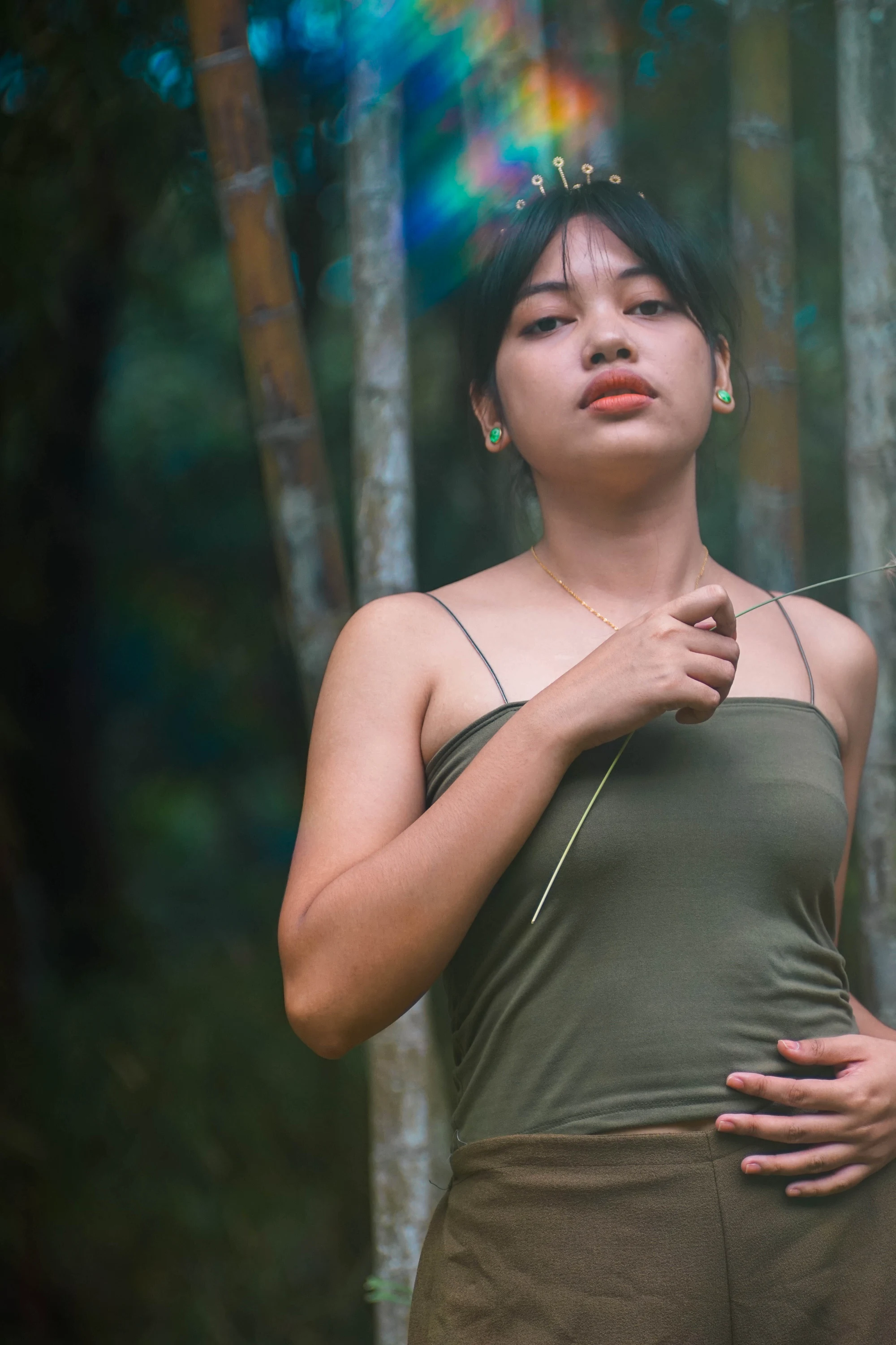Through the bamboo — 2020