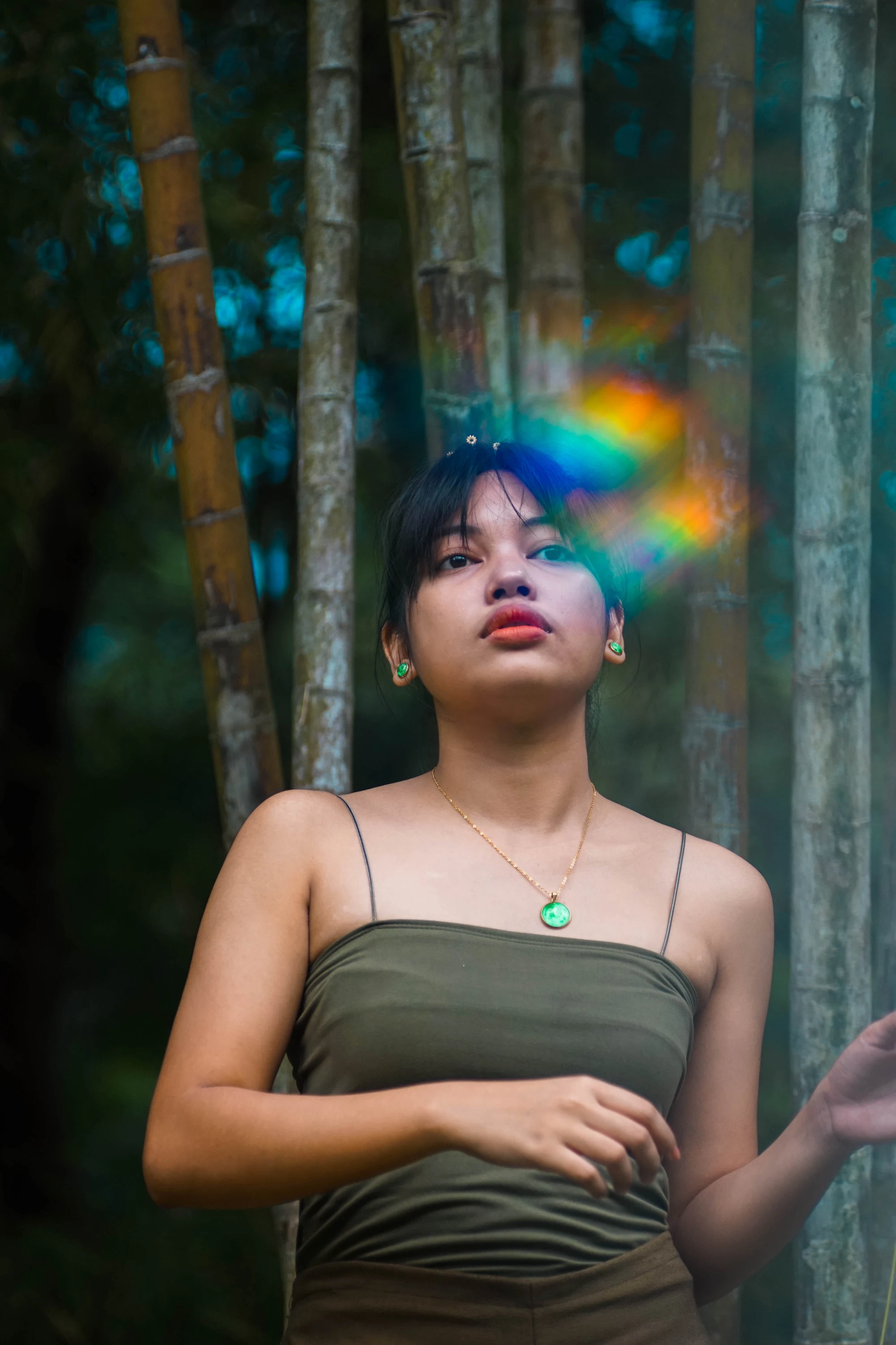 Bamboo, prism light — 2020