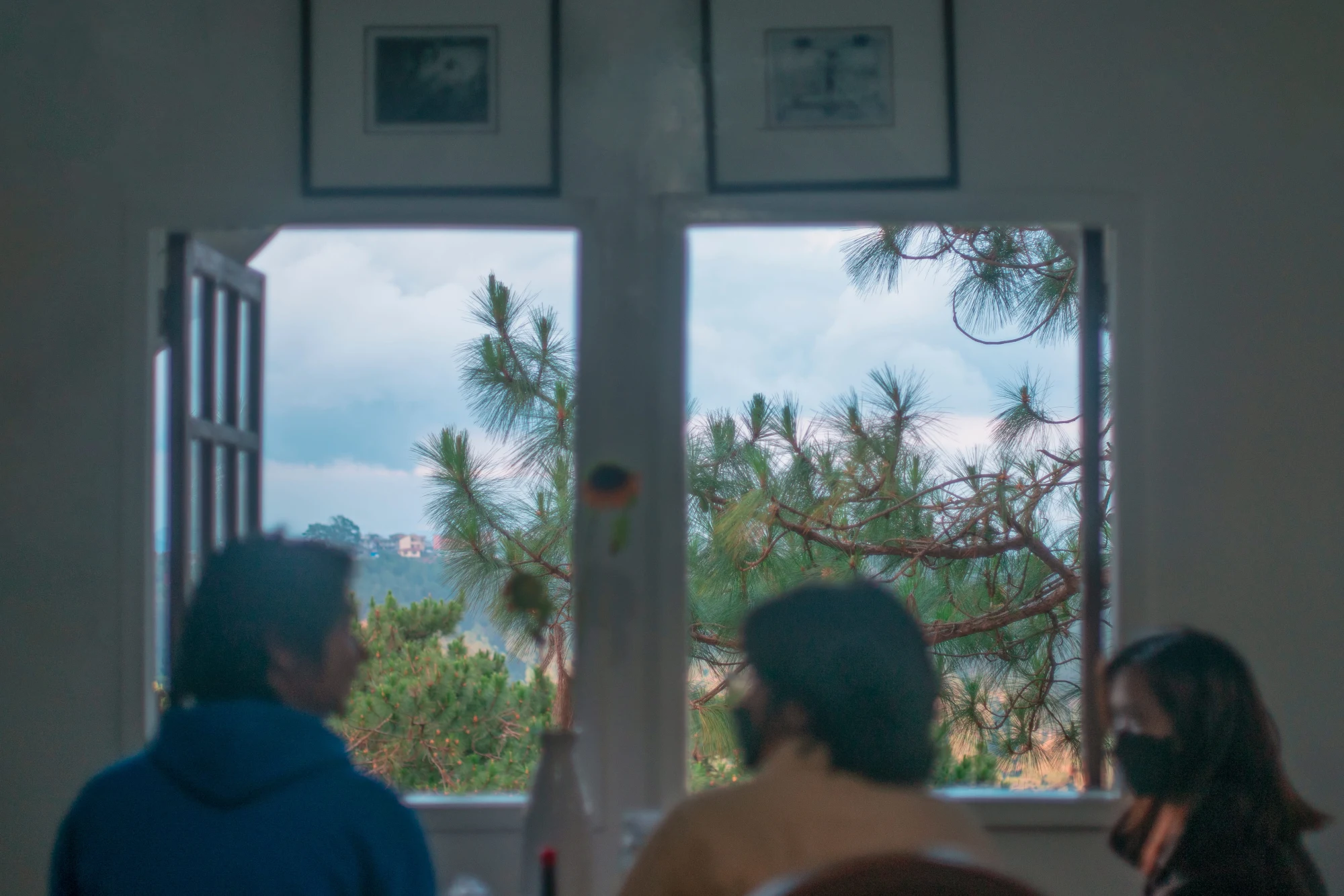 Pine window, Baguio — 2021