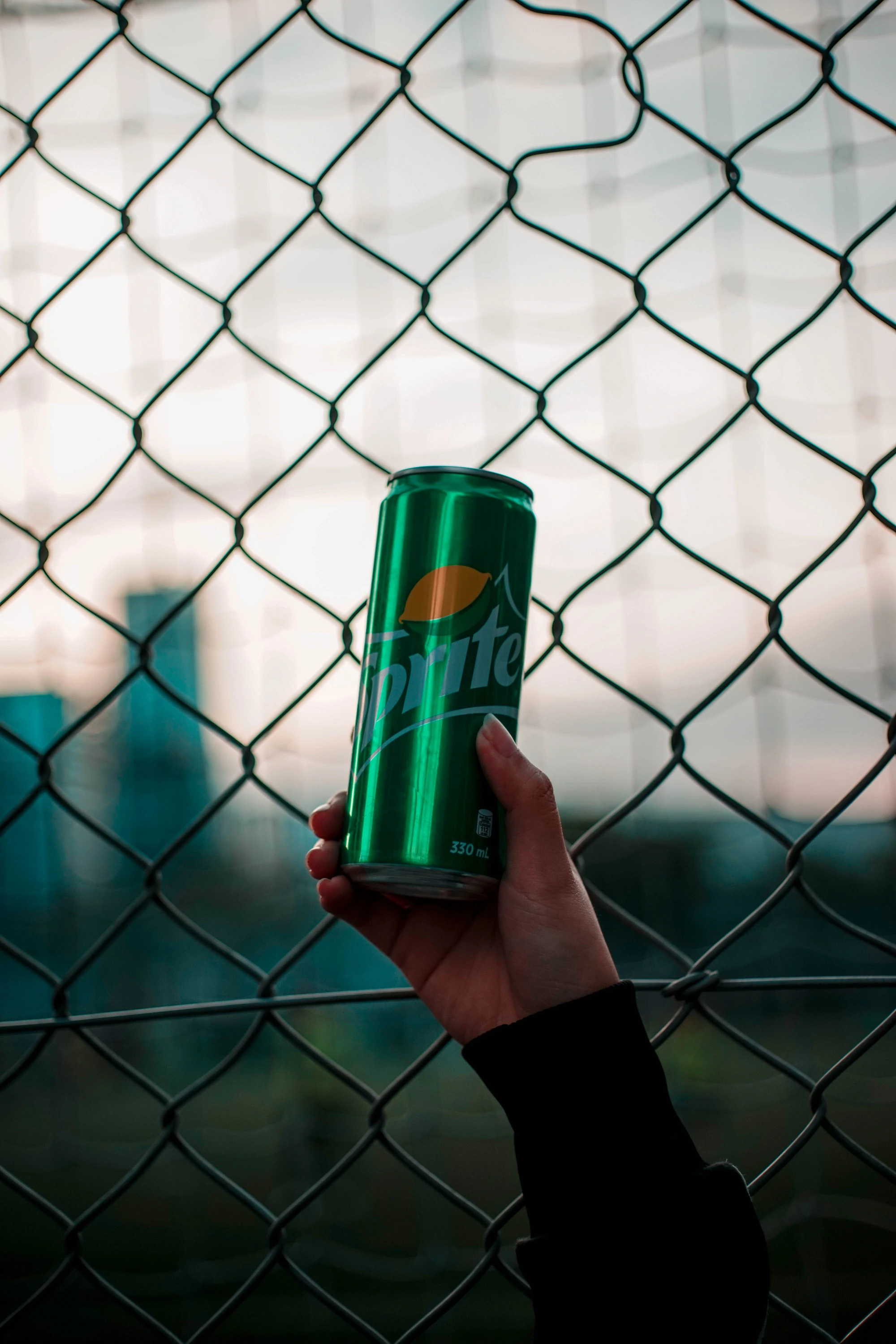 Sprite at the fence — 2018