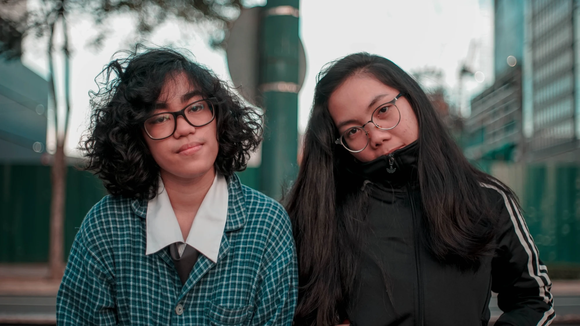 Two friends, late afternoon — 2018
